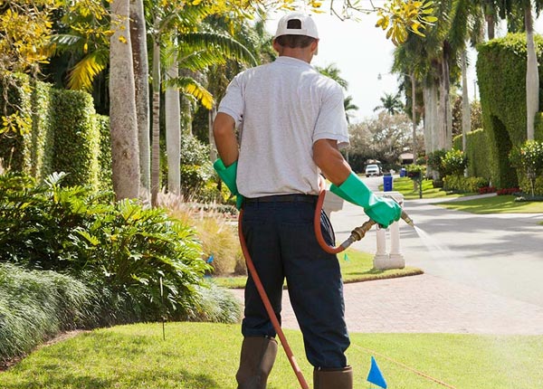 About Goodwine IL Pest Control